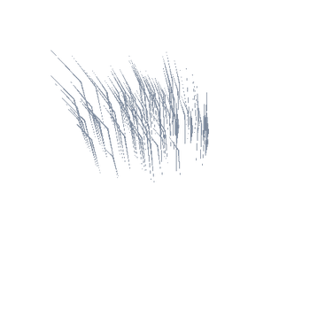 LP Grass - Random Tall Dense